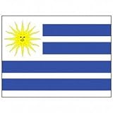 Eastern Republic of Uruguay Flag