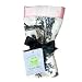 Minky Paradise Toile Pink Travel Silkie - Printed