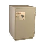 Fire Proof Data Safe 6.0 Cubic Foot Capacity Platinum