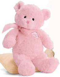 Gund My First Teddy - Pink