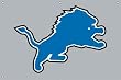 Detroit Lions Indoor/Outdoor Fan Banner 3 ft x 2 ft NFL Football Fan Shop Sports Team Merchandise