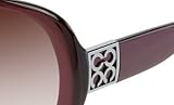 COACH S2026 color 619 Sunglasses