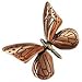Door Knocker - Butterfly (Brass/Bronze) (7
