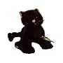 Webkinz Halloween Black Cat with Trading Cards