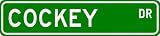 COCKEY Street Sign ~ Personalized Family Lastname Sign ~ Gameroo...