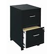 Home Office 18 Deep 2 Drawer Vertical Mobile File Cabinet Color: Black