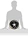 Centric Parts 120.62113 Premium Brake Rotor with E-Coating