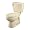 Bone