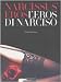 Narcissus’ Eros-L’eros di Narciso. Ediz. bilingue (Fotografia e spettacolo)