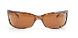 Arnette AN 4007-03/73 Matte Brown Havana SLIDE Sunglasses with Brown Lenses