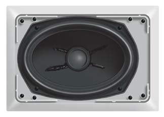 300W In-wall Subwoofer