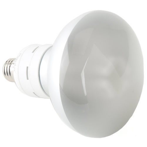 Floodlight Compact Fluorescent Bulb 23W