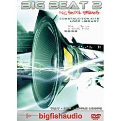 BIG BEAT 2: Nu Skool Breaks