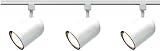 Nuvo Lighting TK322 3-Light R30/PAR30 Longneck Bullet Cylinder Track Light Kit, White