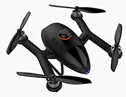 FPV GPS Racing Drone/multicopter Vision-260