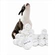 Planet Dog Orbee-Tuff Snowball