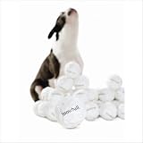 Planet Dog Orbee-Tuff Snowball