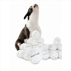 Planet Dog Orbee-Tuff Snowball