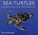 Sea Turtles: An Extraordinary Natural History of Some Uncommon Turtles