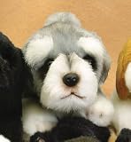 Plush Schnauzer Puppy Playing 7