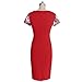 Colyanda Women's Elegant Colorblock Wear to Work Business Stretch Pencil Dress