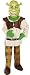 Shrek Deluxe Child Size Costume