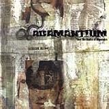 Adamantium lyrics