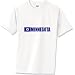 Minnesota Flag T-Shirt Standard Cotton