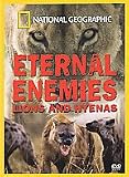 Eternal Enemies: Lions & Hyenas