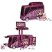 Cheetah Girls Tour Bus