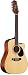 Takamine EG535SC Dreadnought 12-String Solid Top Cutaway Acoustic-Electric Guitar
