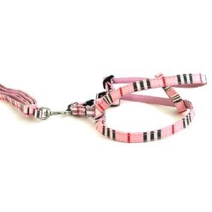 Pet Collar N Leash (Pink Small) NEW