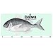 ������(Daiwa) �᥸�㡼�����뿿�� 04005023