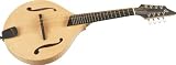 Breedlove American Series OF Mandolin