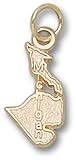 State Of Michigan Charm/Pendant -14K/10K, Stainless Steel or Gold Plated