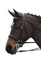 Collegiate Raised Weymouth Bridle-Brown - Full