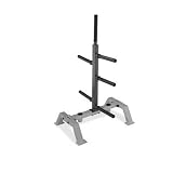 Hampton Fitness IPT-2B International Plate Rack with 2 International Bar Holders