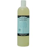 Hand & Body Foam Soap Fresh Mint 16oz Refill