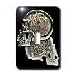 Dooni Designs Steampunk Designs - Steampunk Gothic Faux Metal Skull Image - Light Switch Covers - single toggle switch