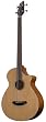 Breedlove Atlas Solo BJ350/CM4 Fretless Acoustic Electric Bass