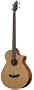 Breedlove Atlas Solo BJ350/CM4 Fretless Acoustic Electric Bass
