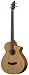 Breedlove Atlas Solo BJ350/CM4 Fretless Acoustic Electric Bass