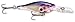 Rapala Glass Shad Rap 04 Fishing lure, 1.5-Inch, Glass Purple Shad