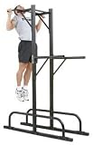 Chin / Dip Combo Machine