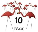 10 Pink Yard Flamingos