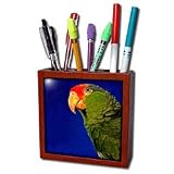 Birds - Green Cheeked Amazon Parrot - Tile Pen Holders-5 inch tile pen holder