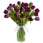 Floral Tulip - Violet Haze