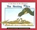 The Nesting Place (In the Days of the Dinosaurs)