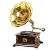Brass Horn Gramophone Phonograph