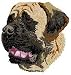 Mastiff Head - Embroidered 2-Tone Shopping Tote